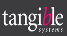 Tangible Systems